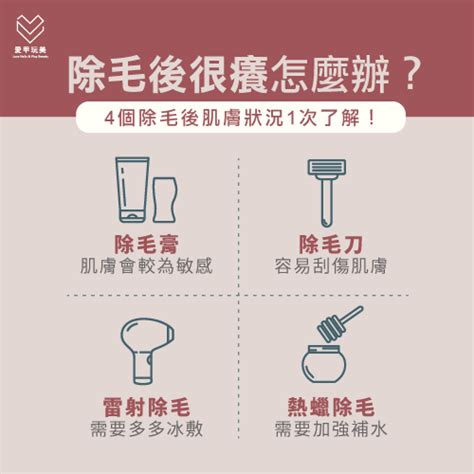 女生陰毛癢|私密處搔癢怎麼辦，會自己好嗎？最常見搔癢原因是「。